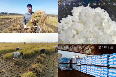 【金蛋蛋农业新大米】拥有五常、尚志等地水稻种植基地自产自销,欢迎对接!